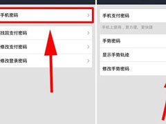 支付宝中如何将钱包手势密码轨迹隐藏？支付宝中将钱包手势密码轨迹隐藏的方法
