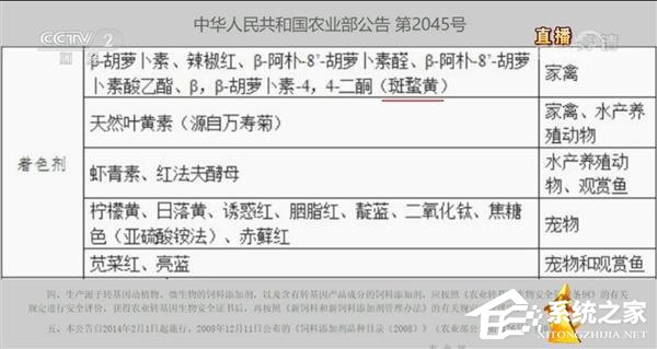 3分钟看懂2019年央视315晚会