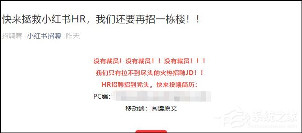 不实！小红书官方回应“裁员一层楼”传闻