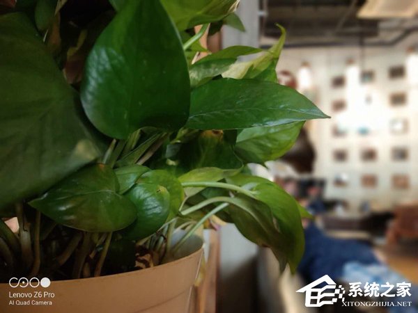 联想Z6 Pro好用吗？联想Z6 Pro体验评测