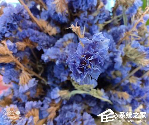 联想Z6 Pro好不好?联想Z6 Pro手机评测