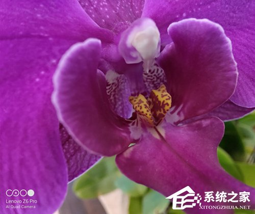 联想Z6 Pro好不好?联想Z6 Pro手机评测