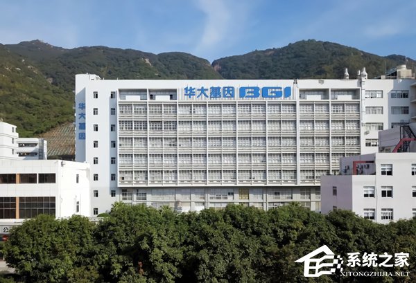网曝华大基因正大规模裁员