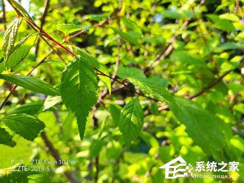 天机Axon 10 Pro怎么样？中兴天机Axon 10 Pro体验评测