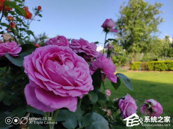 联想Z6青春版好不好？联想Z6青春版上手评测