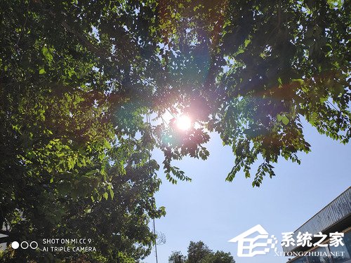 小米CC9好不好？小米CC9体验评测