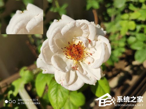 小米CC9好不好？小米CC9体验评测