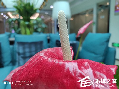 小米CC9好不好？小米CC9体验评测
