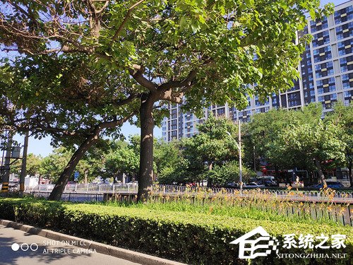 小米CC9好不好？小米CC9体验评测
