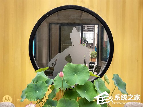 摩托罗拉P50怎么样?Motorola P50体验评测