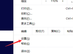 谷歌浏览器如何设置flash访问权限？谷歌浏览器设置flash访问权限的操作步骤