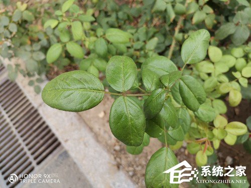华为荣耀9X PRO好不好？荣耀9X PRO手机评测