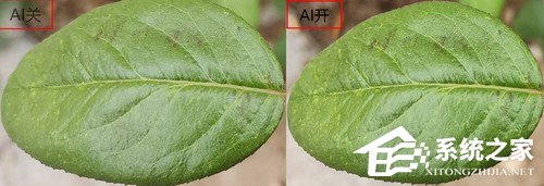 华为荣耀9X PRO好不好？荣耀9X PRO手机评测
