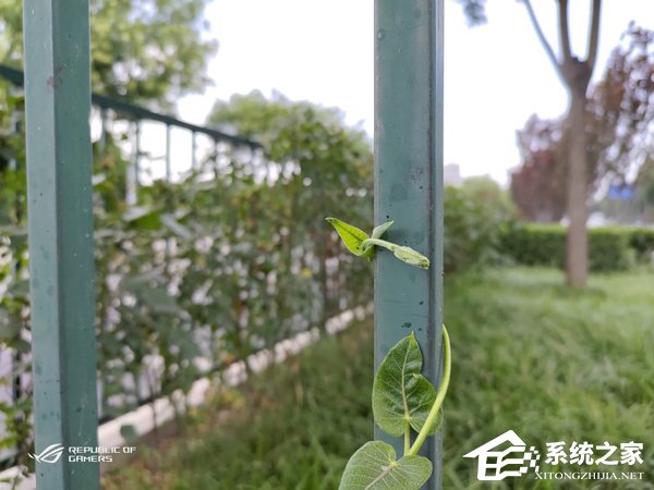 华硕ROG游戏手机2值得买吗？华硕ROG游戏手机2简评