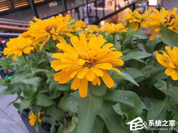 三星Note10怎么样？Galaxy Note10系列手机评测