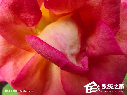 vivo NEX 3拍照怎么样？