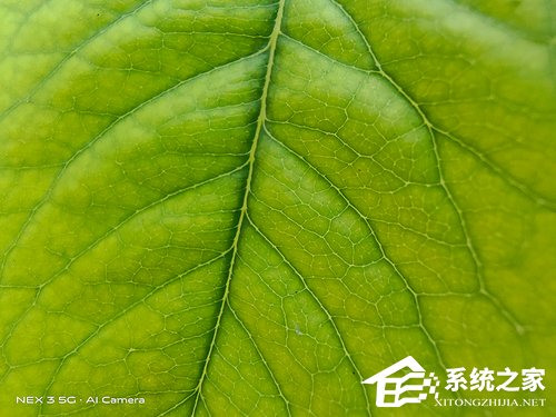 vivo NEX 3拍照怎么样？