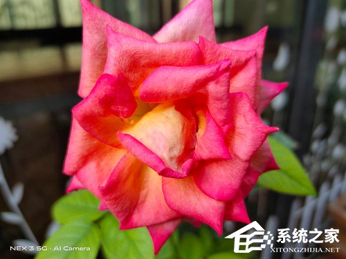 vivo NEX 3拍照怎么样？
