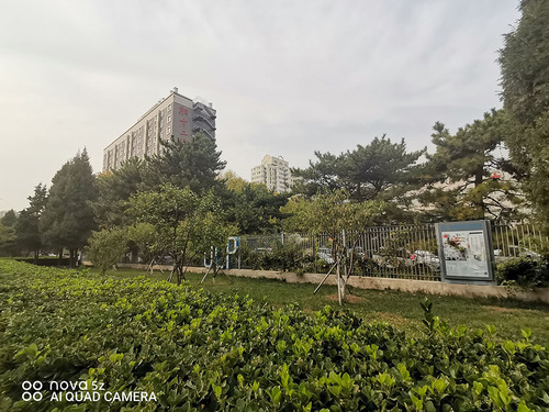 华为nova 5z怎么样？