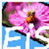 http://xitongzhijia.mg188.cn/lib/img4/allimg/191107/98-19110GA0560.jpg