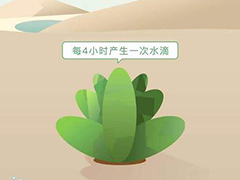 新浪微博绿洲app的水滴如何获得？新浪微博绿洲app水滴的获得方法