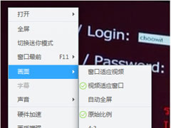 迅雷影音怎么调节画面效果？迅雷影音调节视频亮度的方法