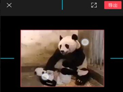 剪映怎么裁剪视频画面尺寸？剪映app裁剪视频画面尺寸的方法