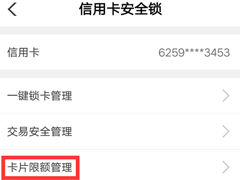 农行信用卡如何限制消费？中国农业银行设置信用卡限额的方法