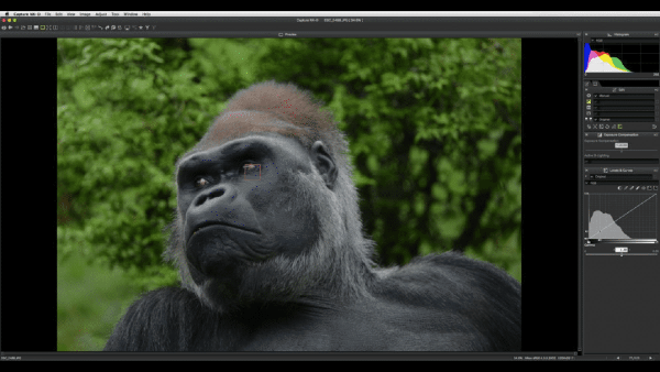 Nikon Capture NX2