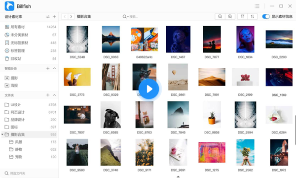 Billfish素材管家
