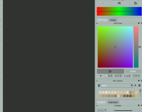 CODIJY Colorizer Pro