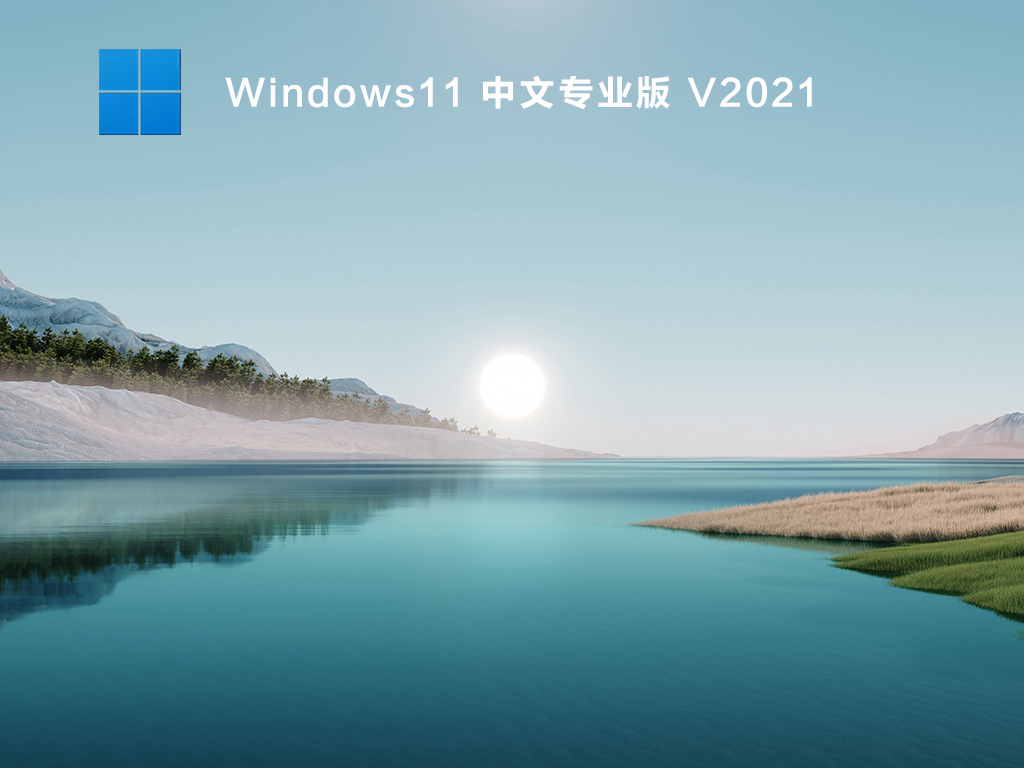 Windows11 中文专业版 V2021