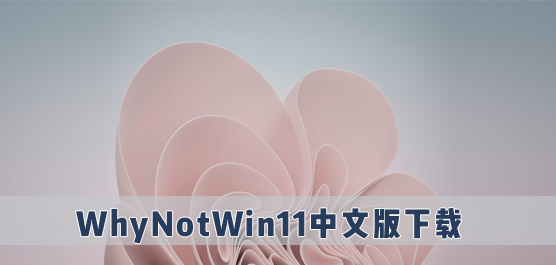 WhyNotWin11_WhyNotWin11下载_WhyNotWin11中文版下载
