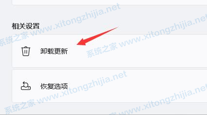 Win11一直闪屏怎么办?