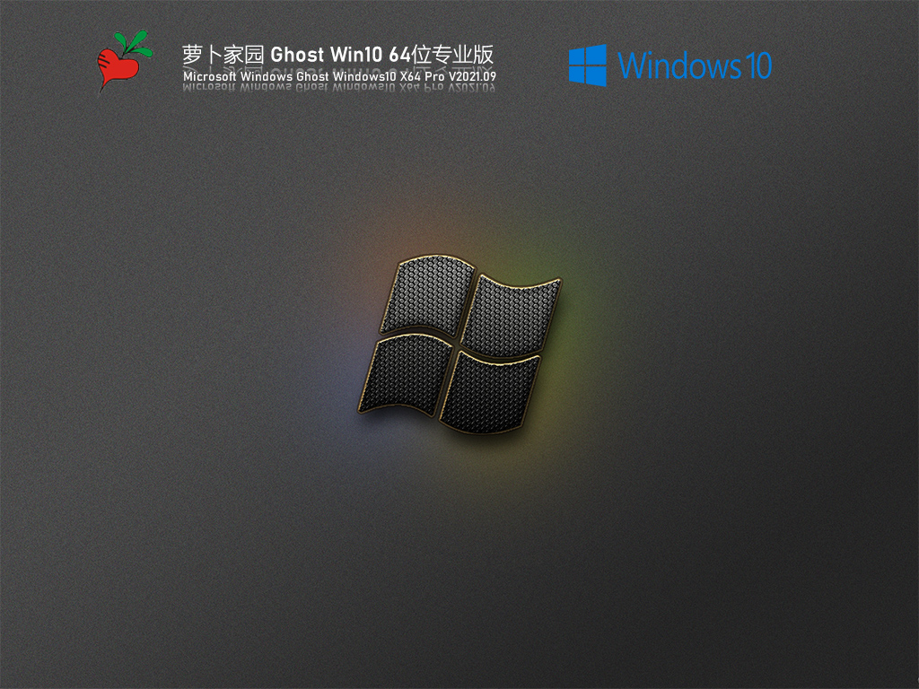 萝卜家园 Win10 64位高速专业版