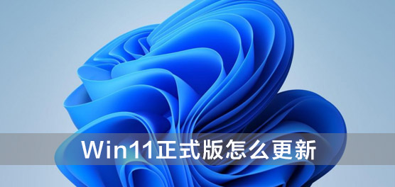 Win11正式版怎么更新_Win11正式版更新教程