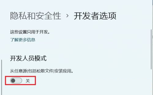 Win11,开发人员选项,开发人员步骤