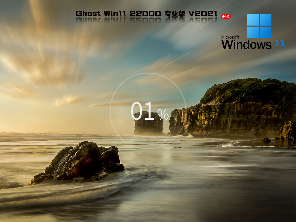 Windows11 22000.348 纯净精简版 V2021.11