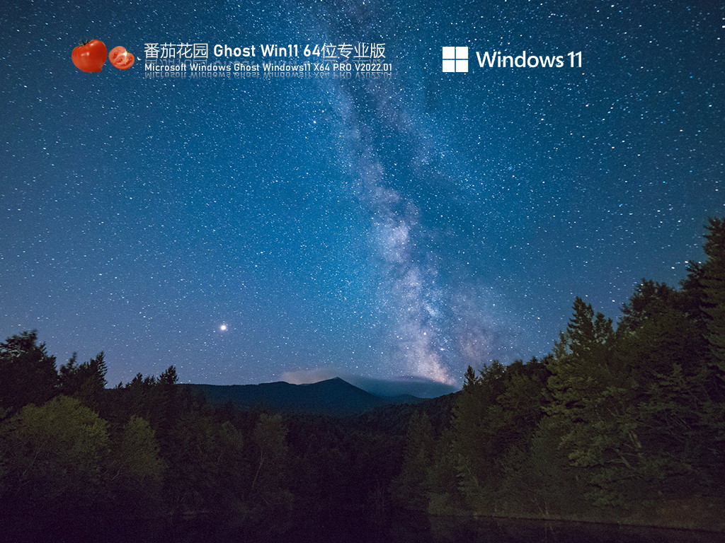番茄花园 Ghost Win11 U盘装机版 V2022.01
