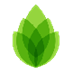 芦笋(极简录屏) V2.3.0 官方安装版