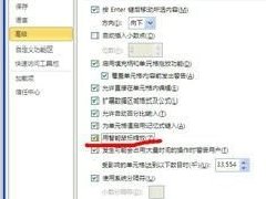 Excel2010如何设置鼠标滚轮控制窗口大小的操作方法分享