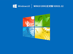 Win10 20H2正式版 V2022.12