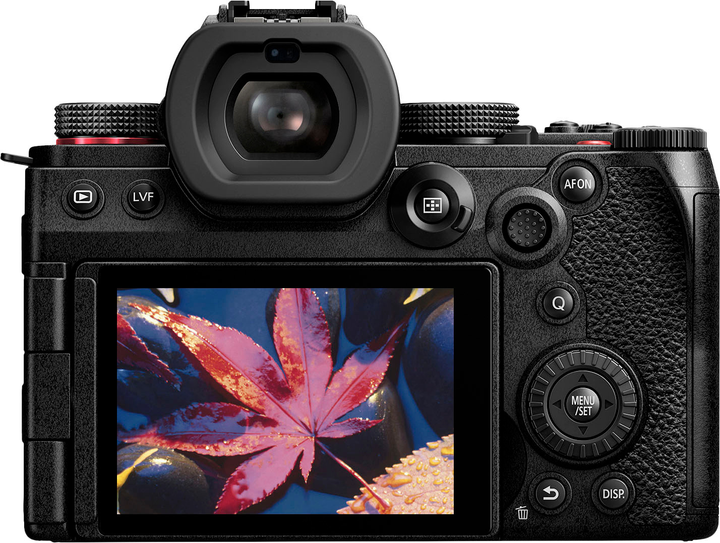 松下 Lumix S5 Mark II 定档 1 月 4 日