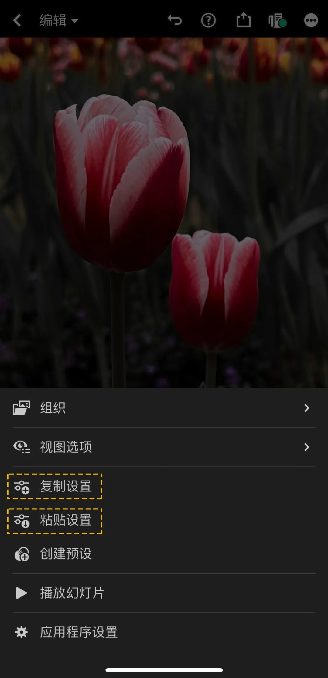 为什么摄影师都喜欢用iPhone 拍照？