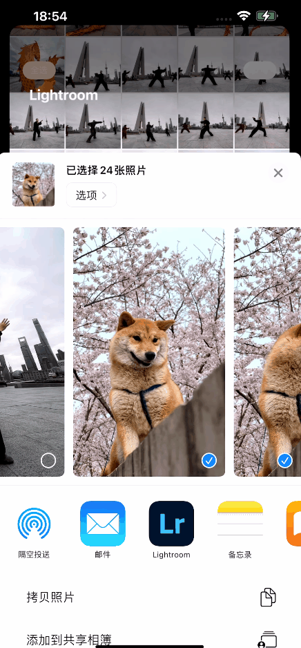 为什么摄影师都喜欢用iPhone 拍照？