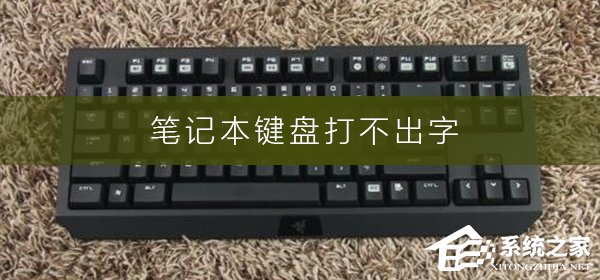 笔记本电脑打不出字怎么办?