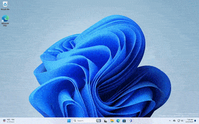 Dev 和 Canary 频道 Windows 11 版本如