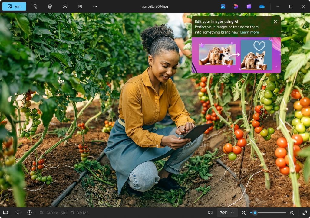 Win11 照片应用深度整合微软 Designer 