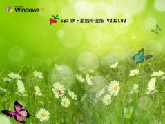 萝卜家园 GHOST XP SP3 稳定专业版 V2021.02