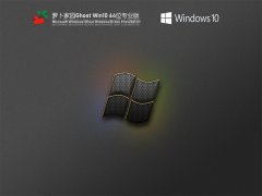 萝卜家园Win10 64位 专业版 V2021.07